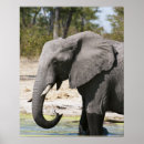 Search for game reserve art Animal