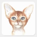Search for abyssinian stickers Kitty