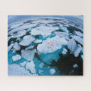 Search for arctic puzzles Winter