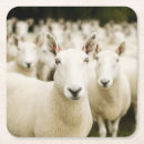 Search for herd coasters Farm