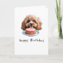 Search for cavapoo cards Puppy