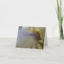 Search for beard cards Photography