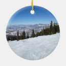 Search for aspen colorado christmas tree decorations Rockies