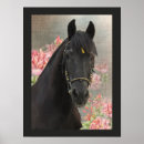 Search for friesian horse art Horses