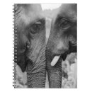 Search for elephant notebooks Landscape