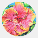 Search for red hibiscus flower stickers Hawaiian flowers