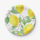 Search for citrus plates Lemon