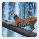 Search for beautiful waterfall stickers Nature