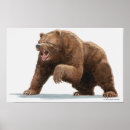 Search for aggressive posters Bear