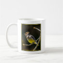 Search for songbirds mugs Yellow