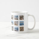 Search for sea shell photos mugs Beach