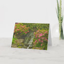 Search for rhododendrons cards Shrub