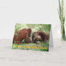 Search for faking cards Cute