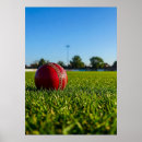 Search for cricket sport posters Ball