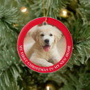 Search for rescue christmas tree decorations Puppy