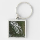 Search for landforms key rings United states
