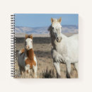 Search for horse notebooks Mare