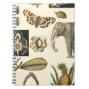Search for animal notebooks Cream