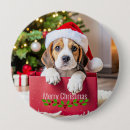 Search for beagles badges Dog