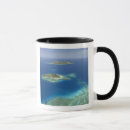 Search for beachcomber mugs View