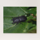 Search for beetle puzzles Bug
