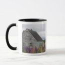 Search for americas mugs Nature