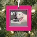 Search for hot pink christmas tree decorations Minimalist