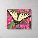 Search for eastern canvas prints Swallowtail