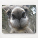 Search for roos mouse mats Australia