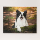 Search for cute border collie puzzles Puppy
