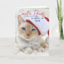 Search for kitten christmas cards Crazy cat lady