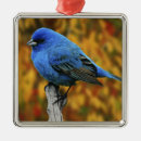 Search for bird christmas tree decorations wildlife