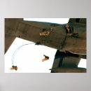 Search for paratrooper posters Military