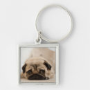Search for pet pug key rings Pets