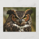 Search for horned postcards Birds