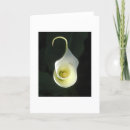 Search for cala cards Lily