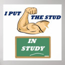 Search for studs posters Humour