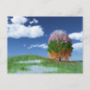 Search for seasons change postcards Summer