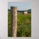 Search for bale posters Rural