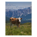 Search for cowbell art Farm