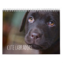 Search for labrador retriever calendars Retrievers