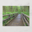 Search for foliage postcards Outdoor