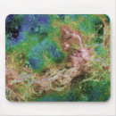 Search for venus the mouse mats Science