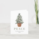 Search for evergreens christmas cards Watercolor
