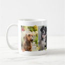 Search for rainbow paw print mugs Dog dad