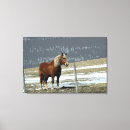 Search for draught art Horse