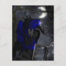 Search for cartoon crow postcards Crows
