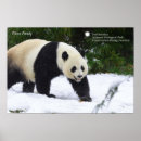 Search for smithsonian posters Snow
