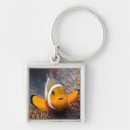 Search for reef fish key rings Blue
