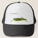 Search for grasshopper Cricket